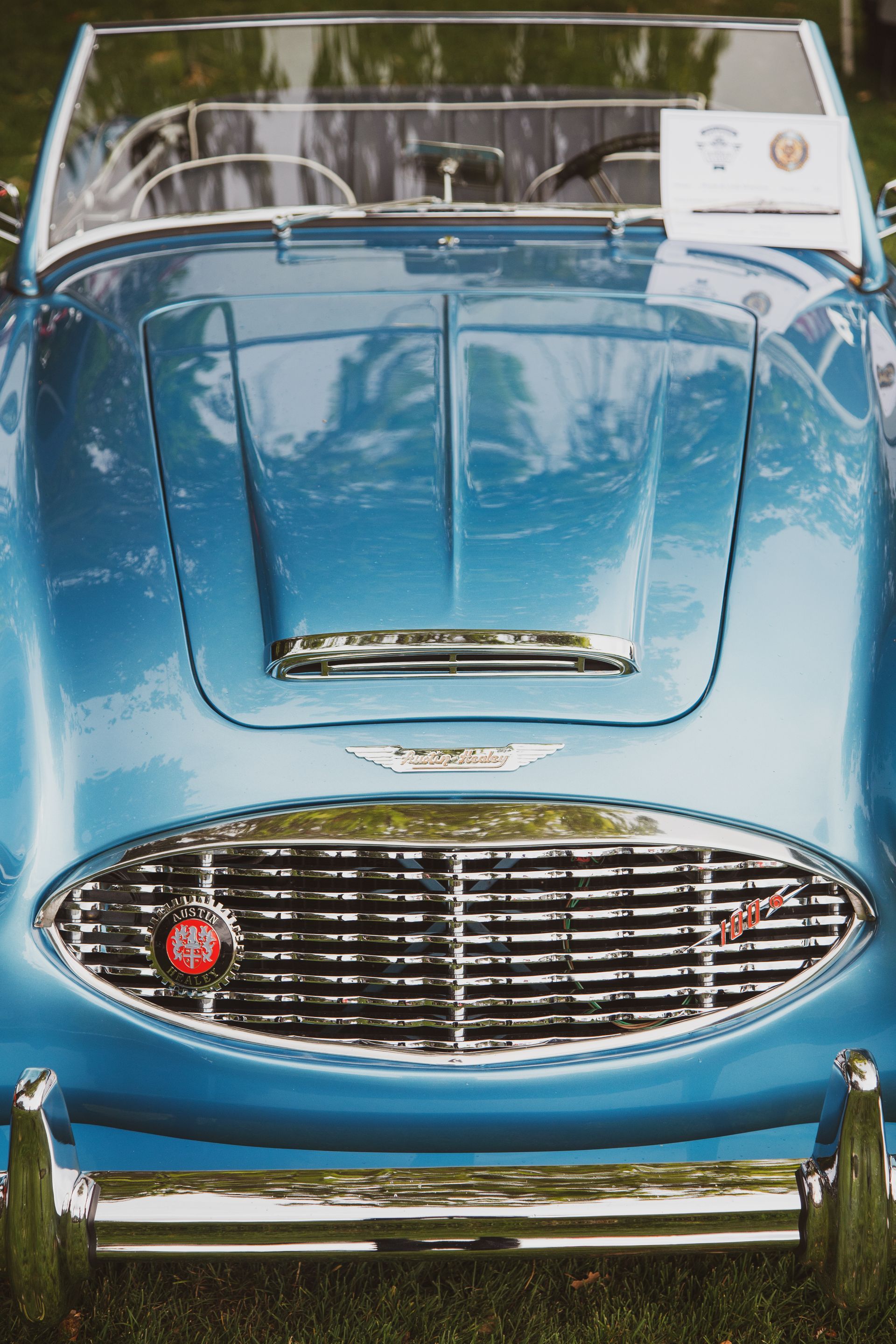 Front view of a light blue vintage Austin-Healey sports car with chrome grille and bumpers.