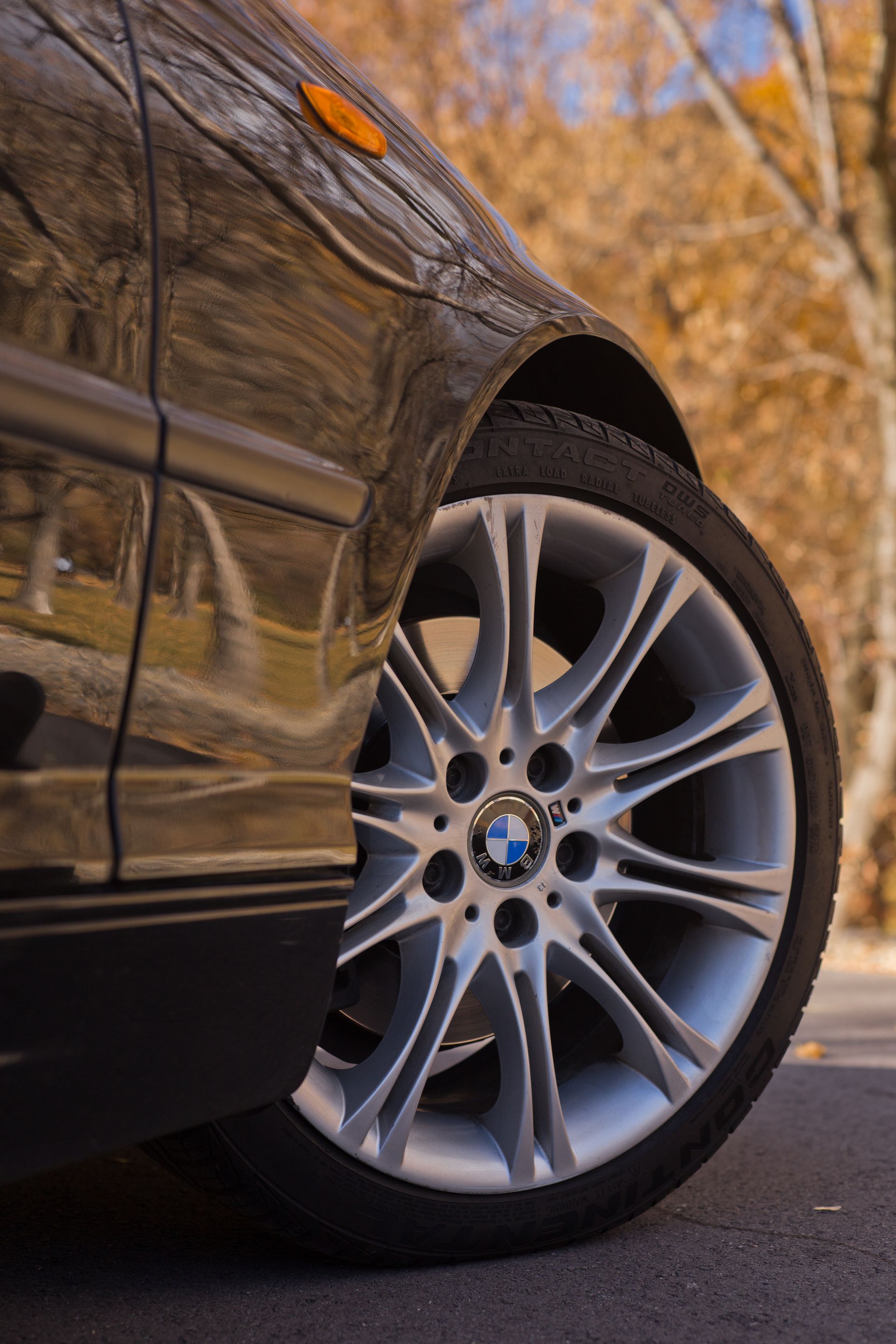 White car's rear bumper.