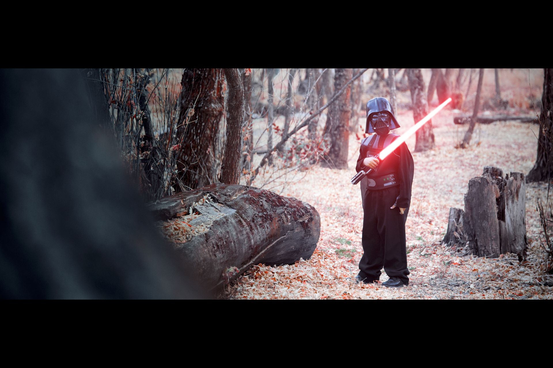 A person in a Darth Vader costume stands in a wooded area, holding a glowing red lightsaber.