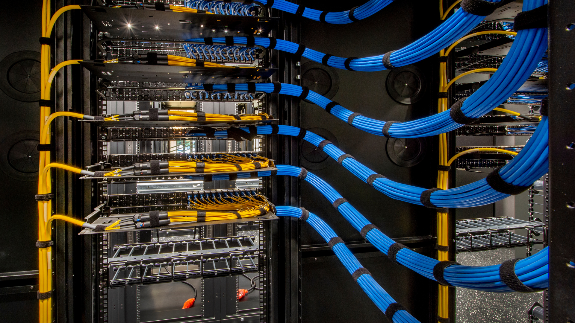 A bunch of blue and yellow wires are connected to a server.