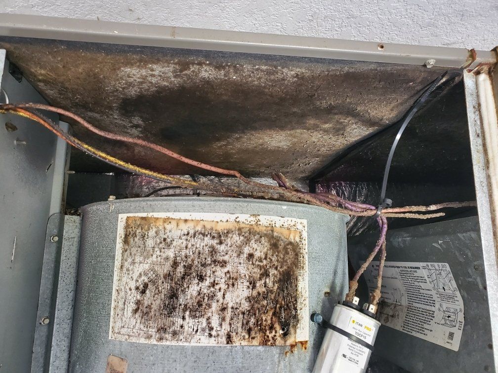 Mould in AC system from top