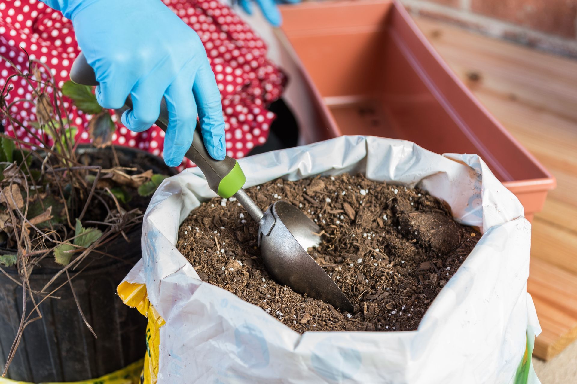 top potting soil