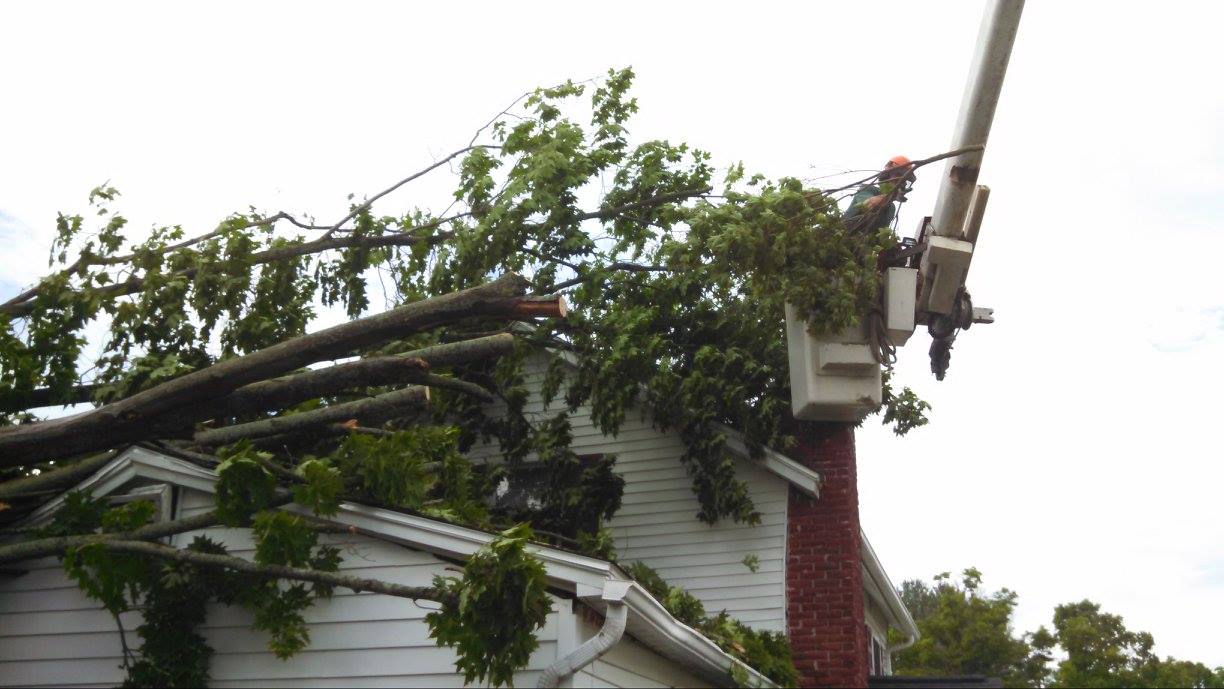 Trees Fallen On House Roof — Candor, NY — Tri County Tree Service