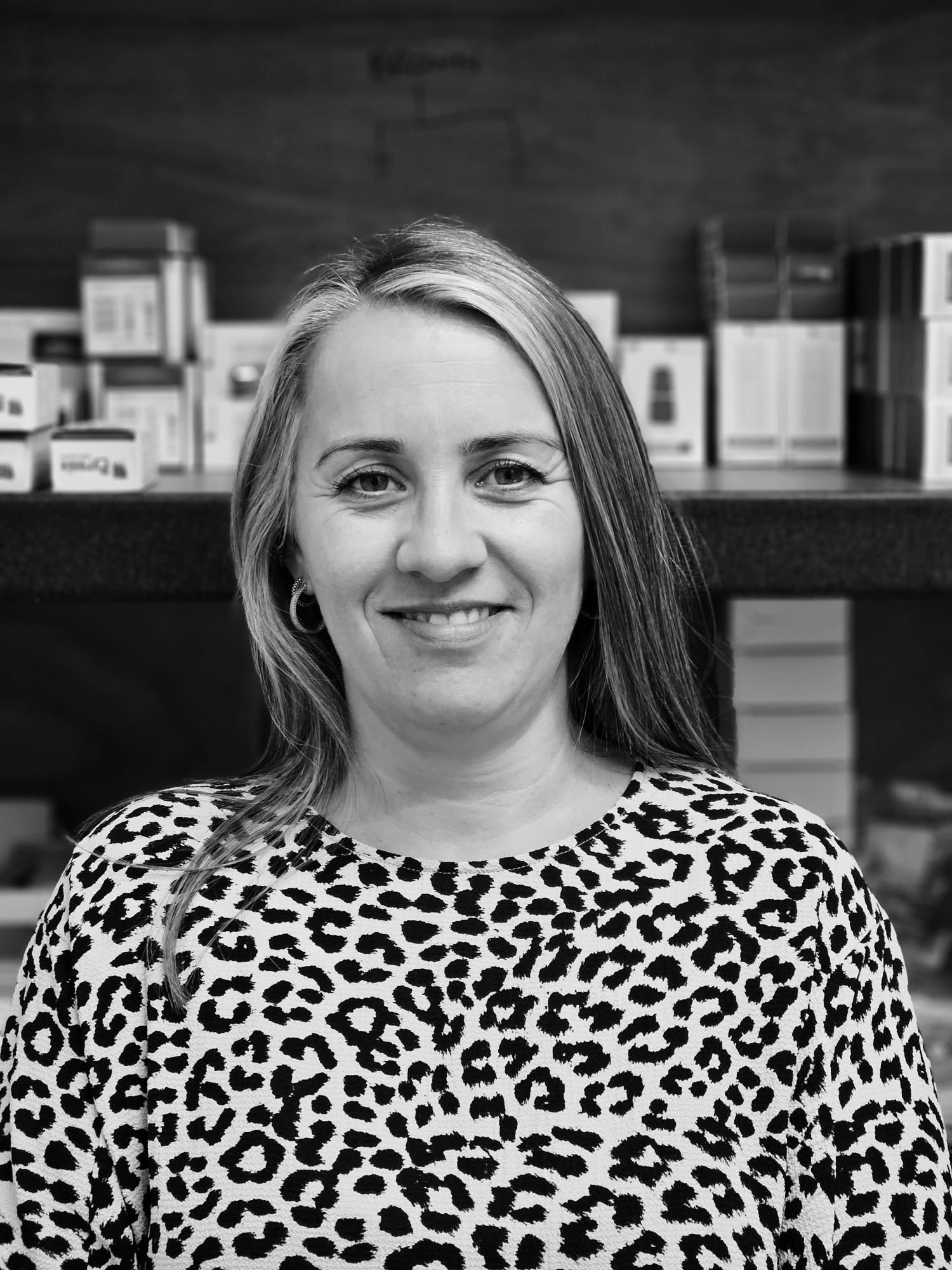 Ambush Security systems logo