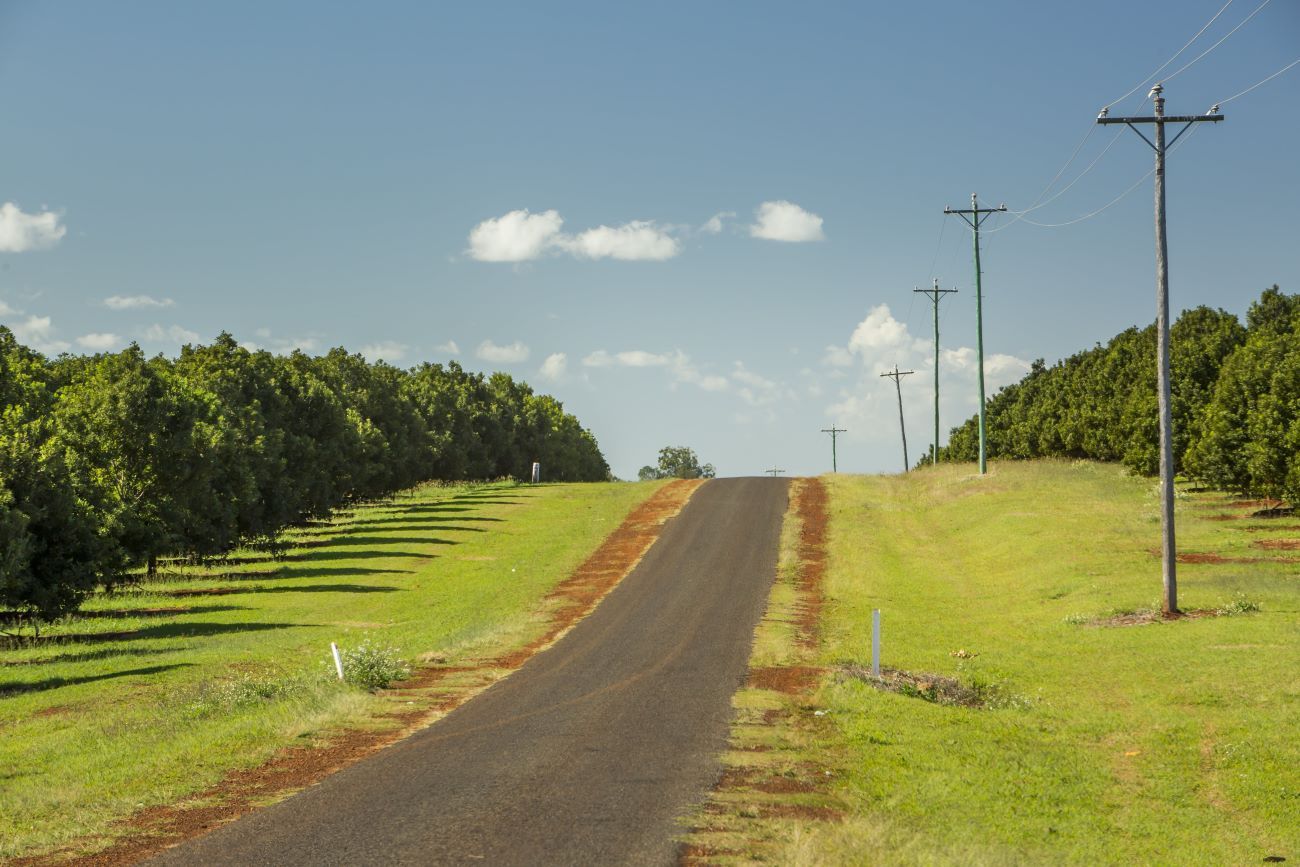 Paved Road Ascends Between Rows of Trees and Grassy Fields — BTV Antenna & Data in South Kolan, QLD