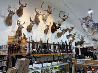 A deer head is hanging on a wall in a store.