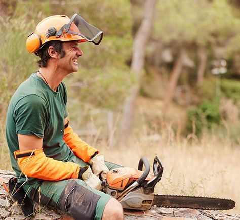 Tree Surgeon