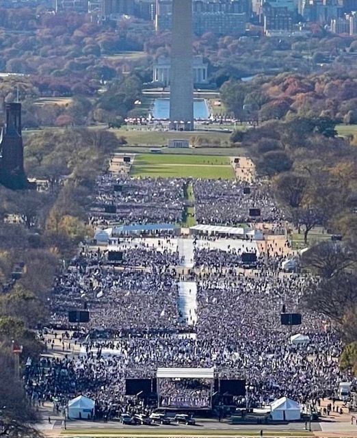 Crowd of people at the March for Israel