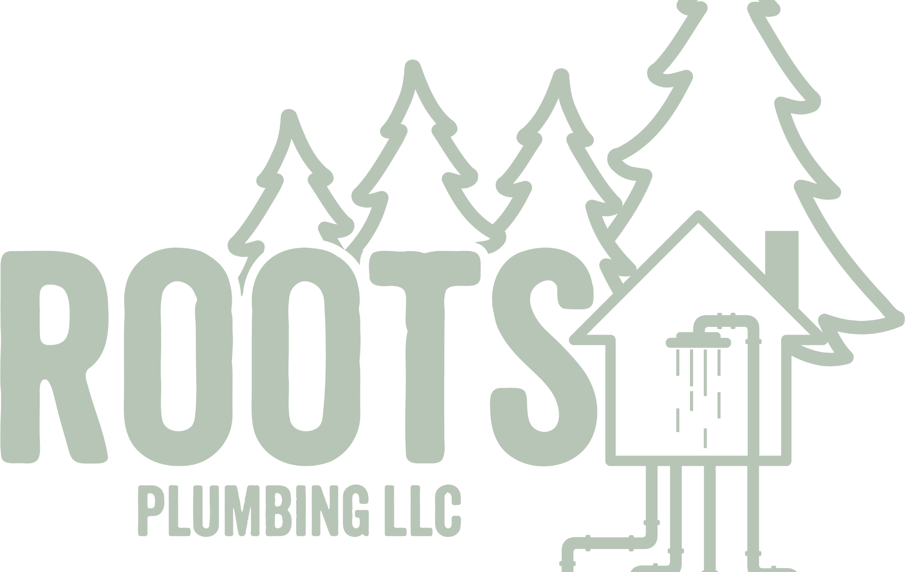Roots Plumbing LLC