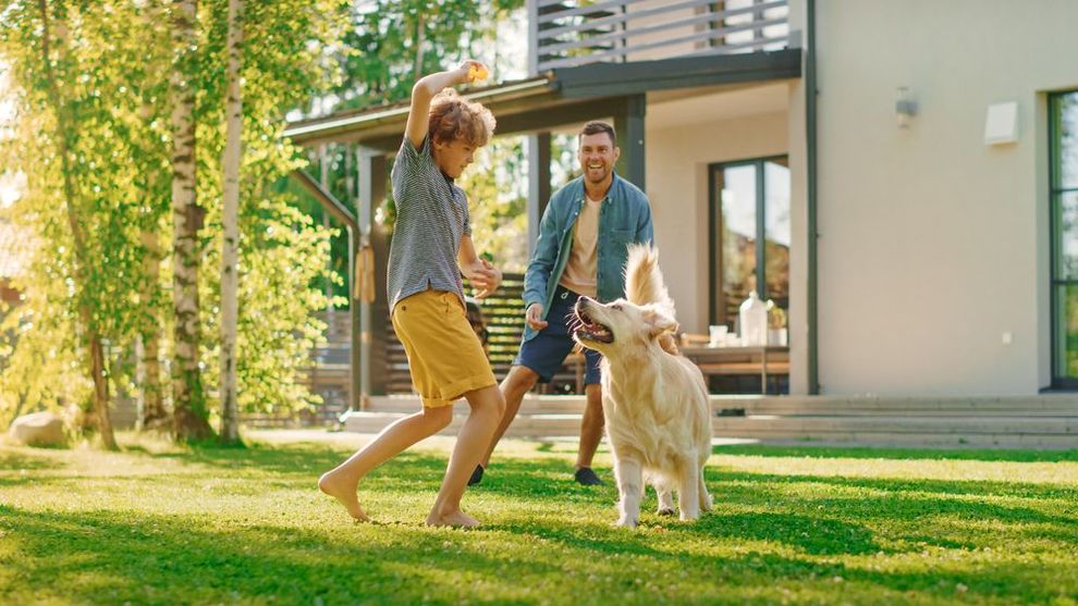 A boy throws a ball for a golden retriever as a man watches in a sunny yard near a house.