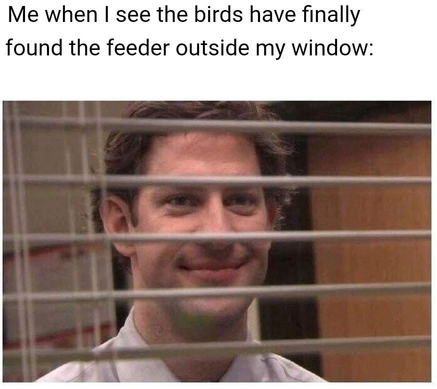 A man is smiling while looking through blinds.