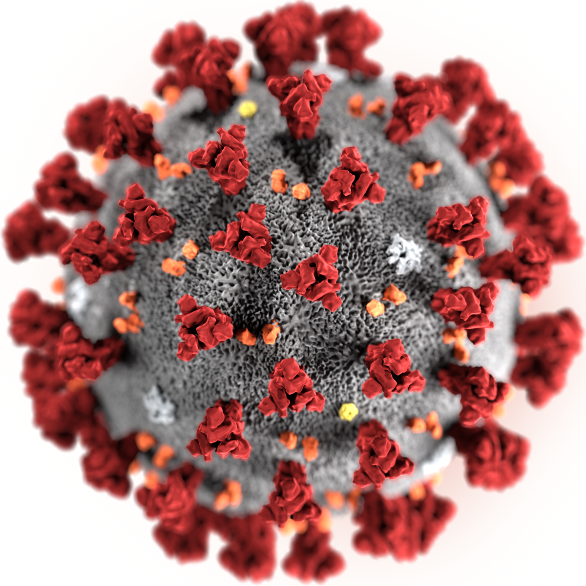 close up photo of a coronavirus icon