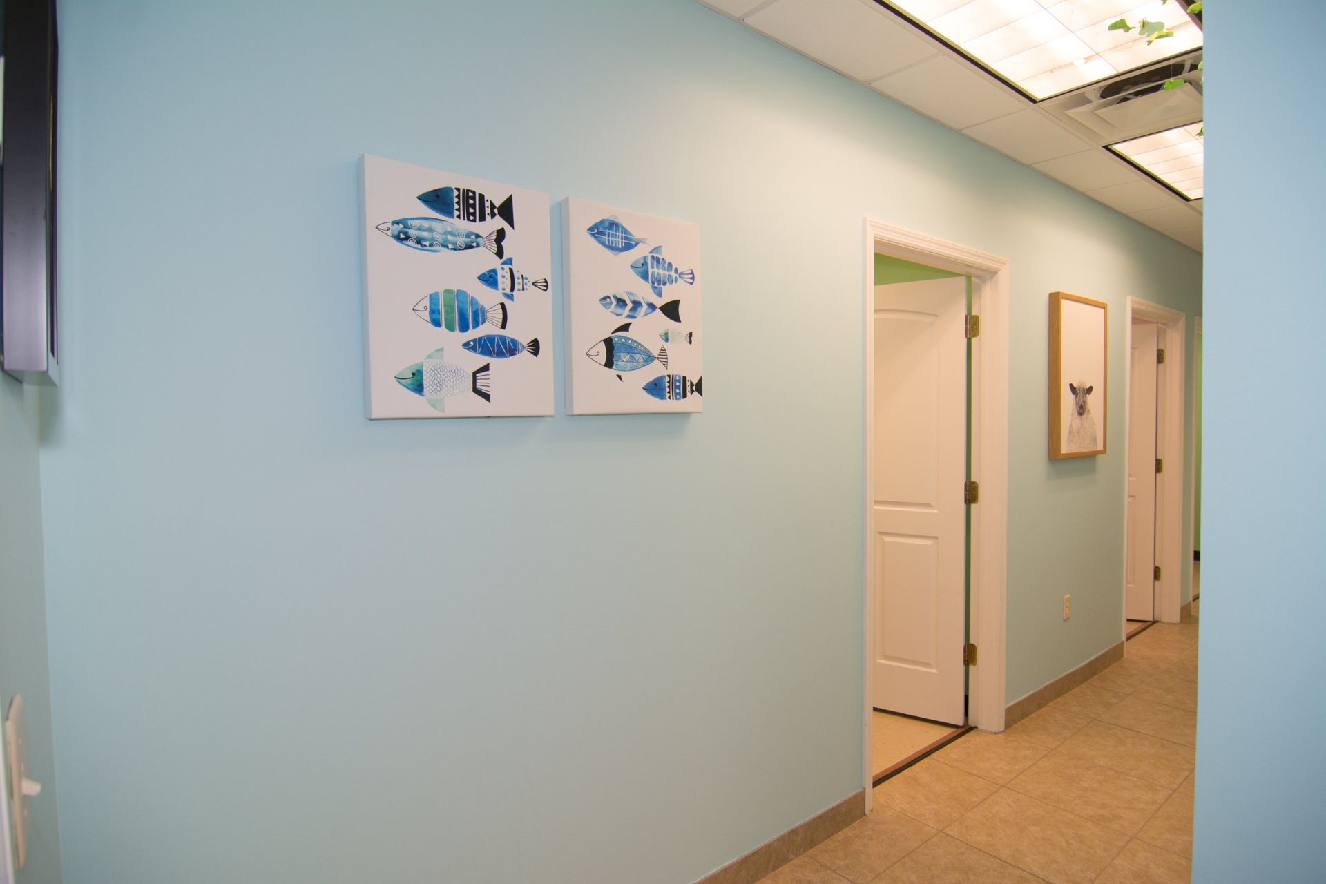 Photo of the office's hallway showing white doors of consultation rooms.