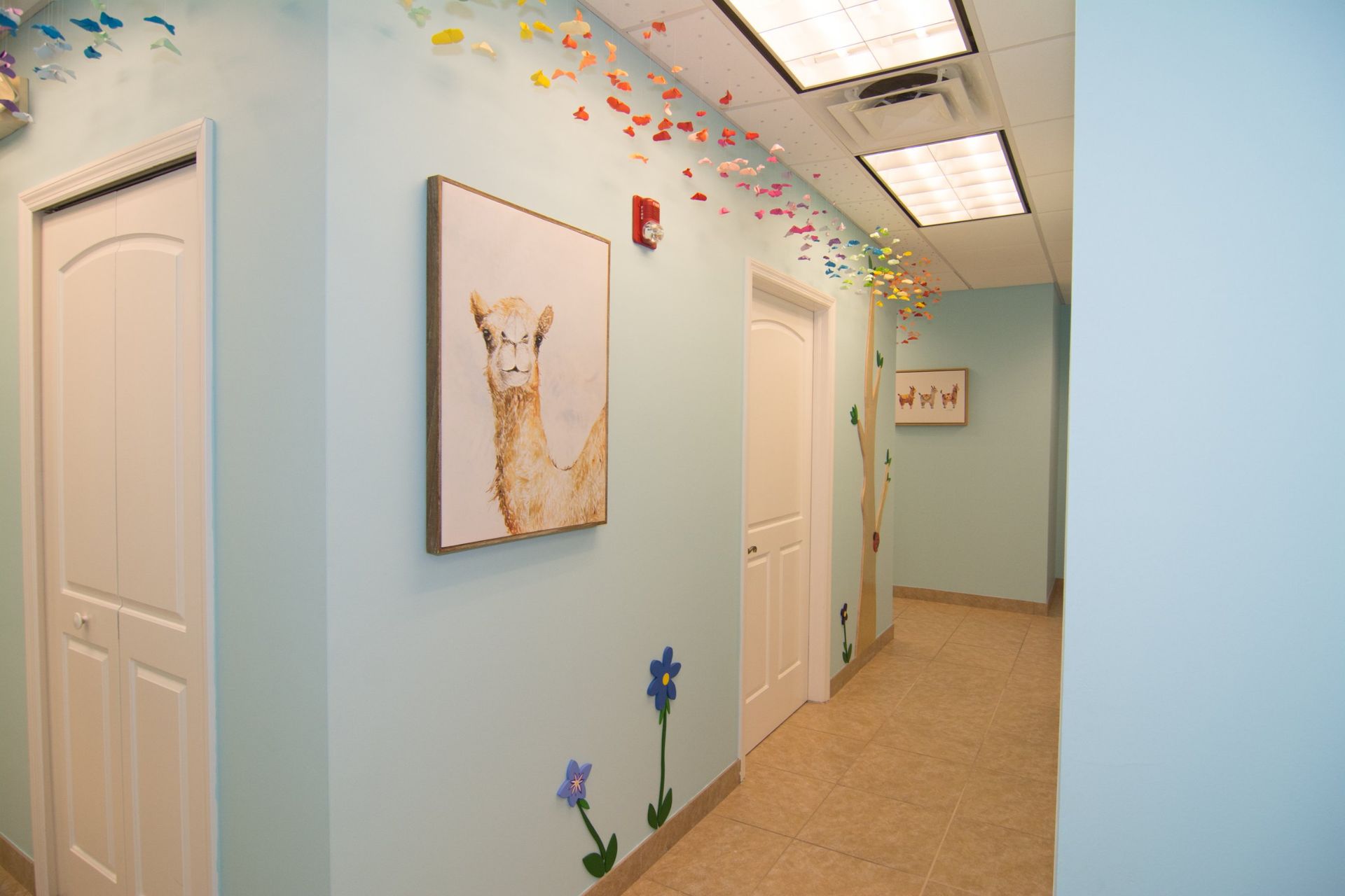 photo of a white doors of consultation rooms from the hallway