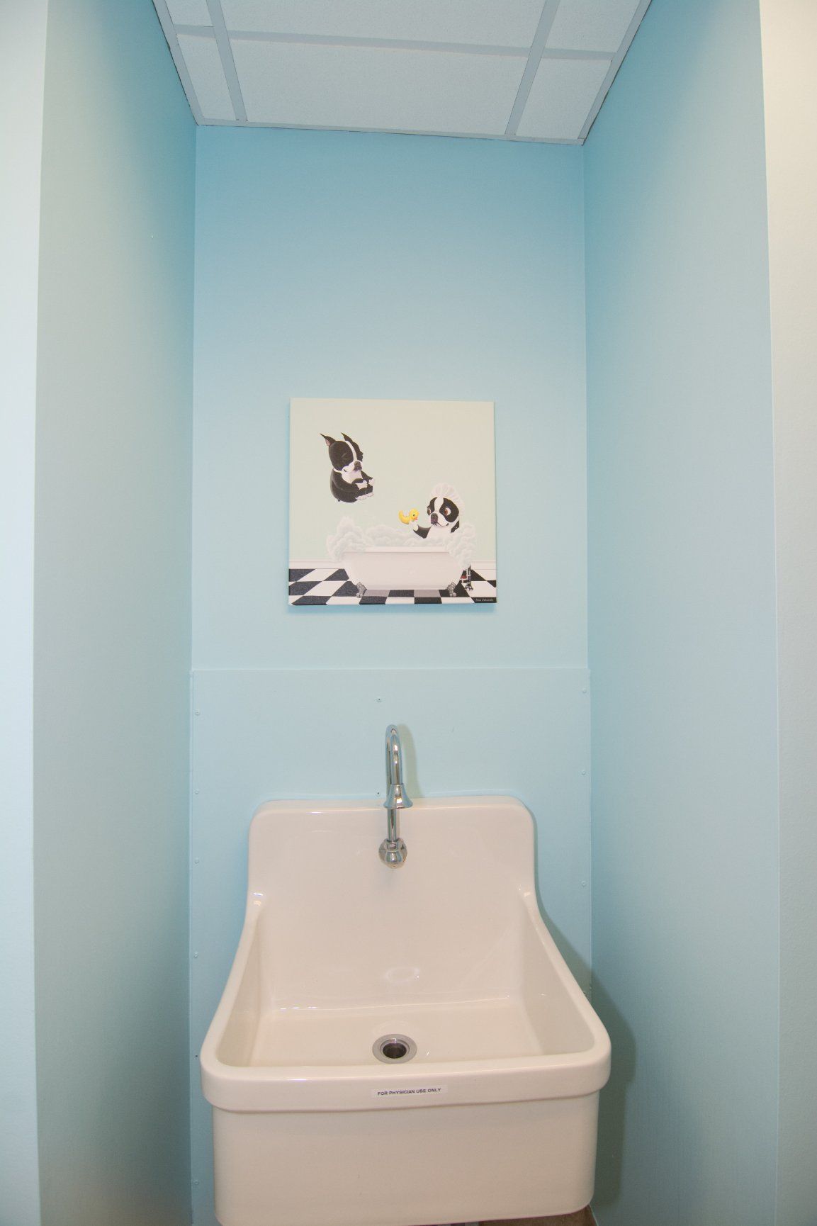 white sink with painting of a dog in a bath tub hanging from a light blue wall