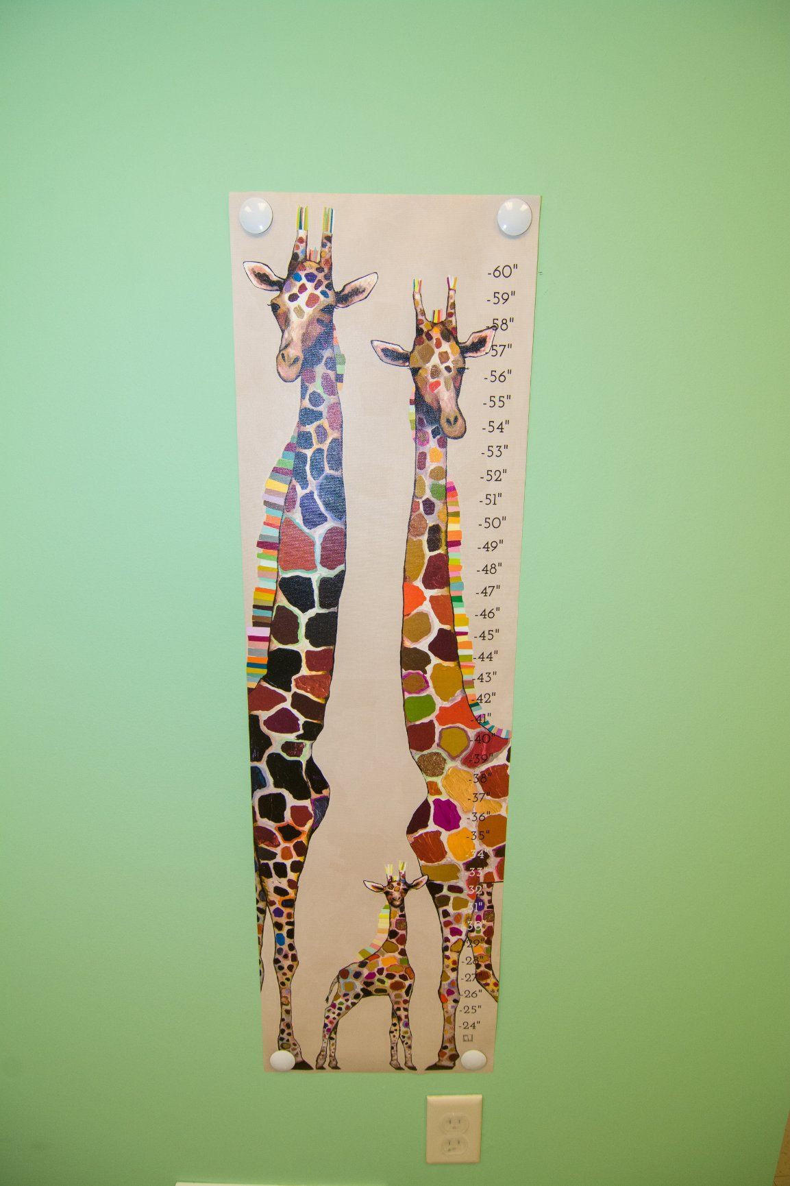 height chart with two giraffe facing each other