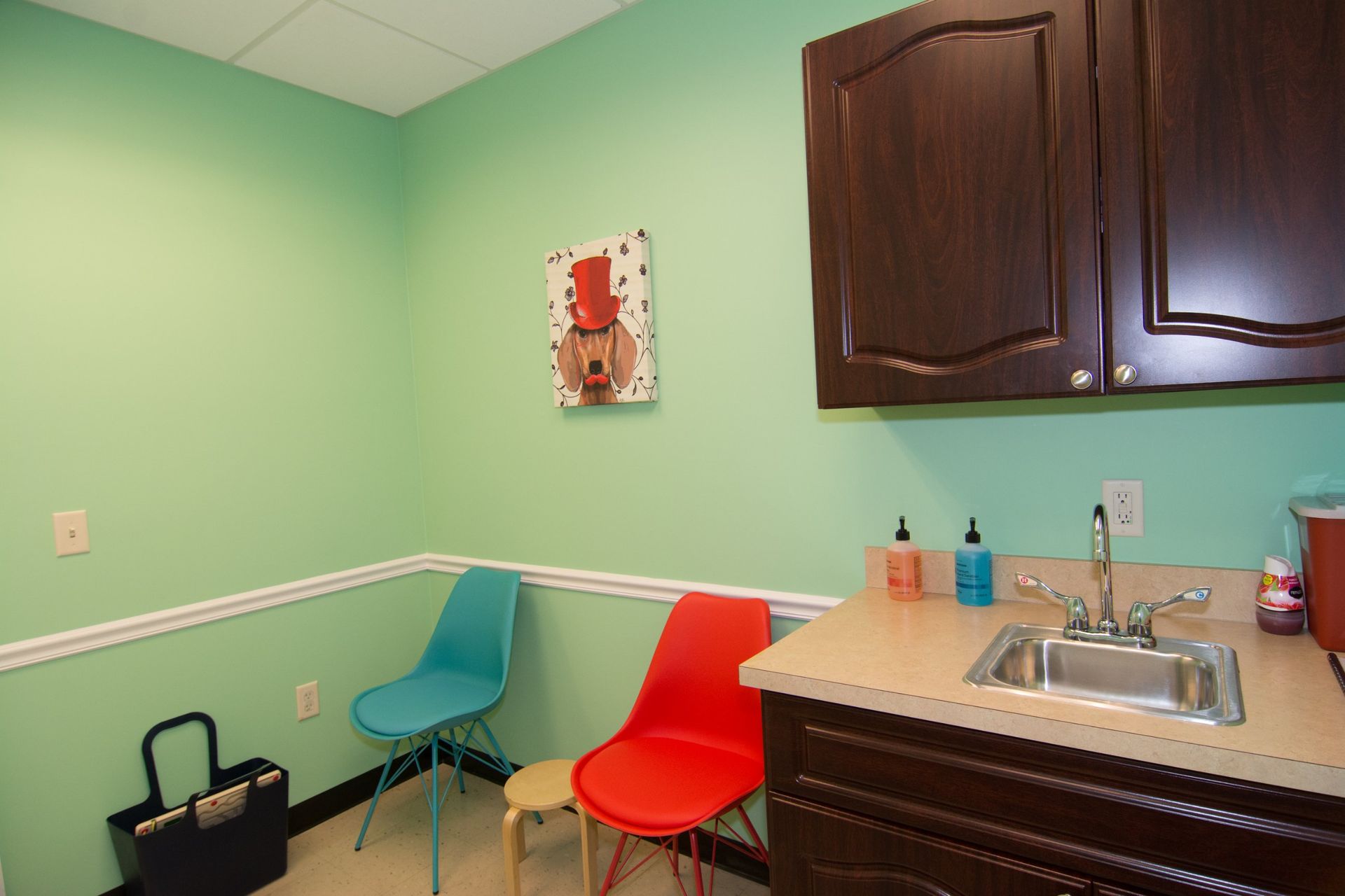 Photo of the consultation room, showing the sink, red and blue chair, green background and a square painting of dog hanging on the wall above the chairs