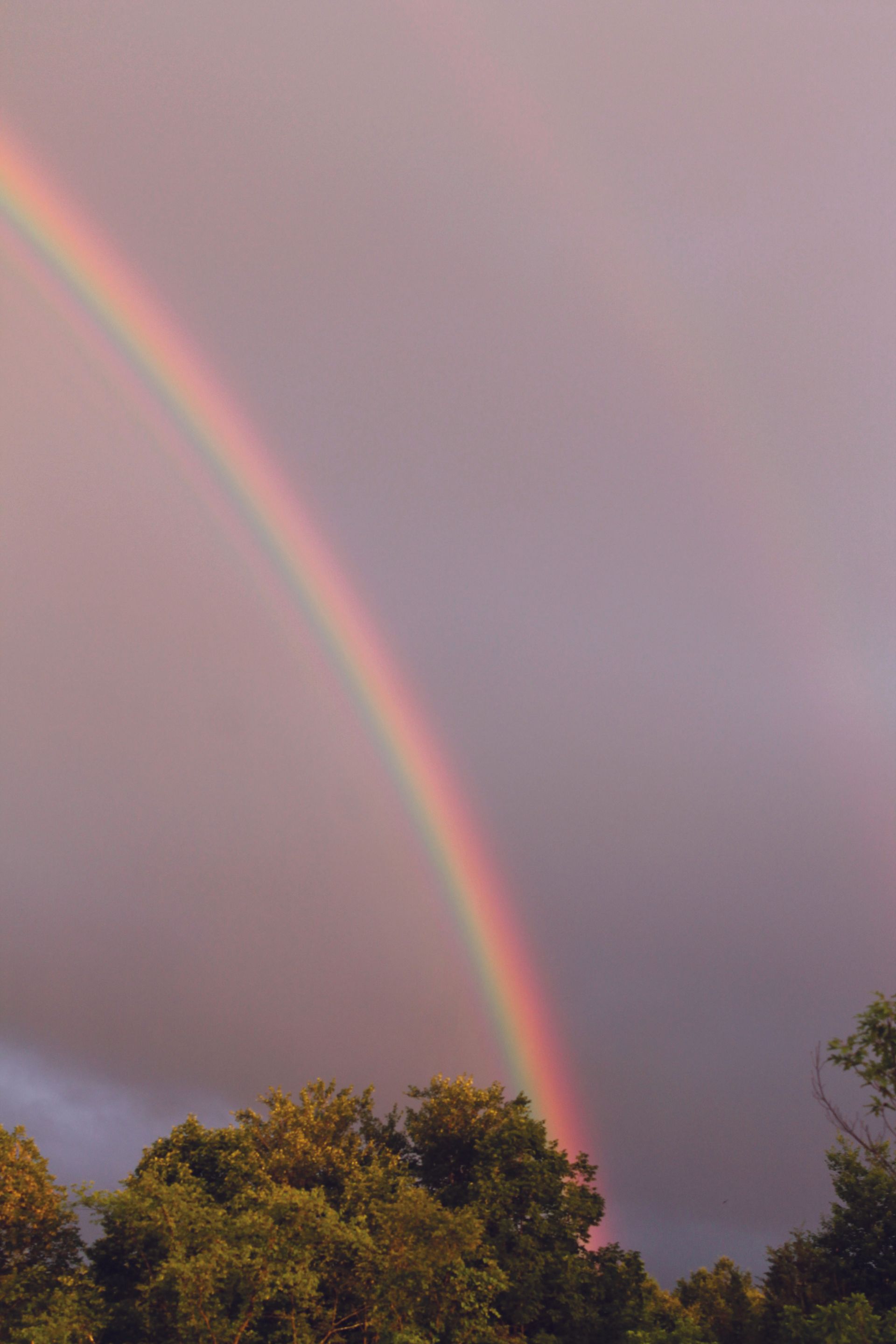 Rainbow