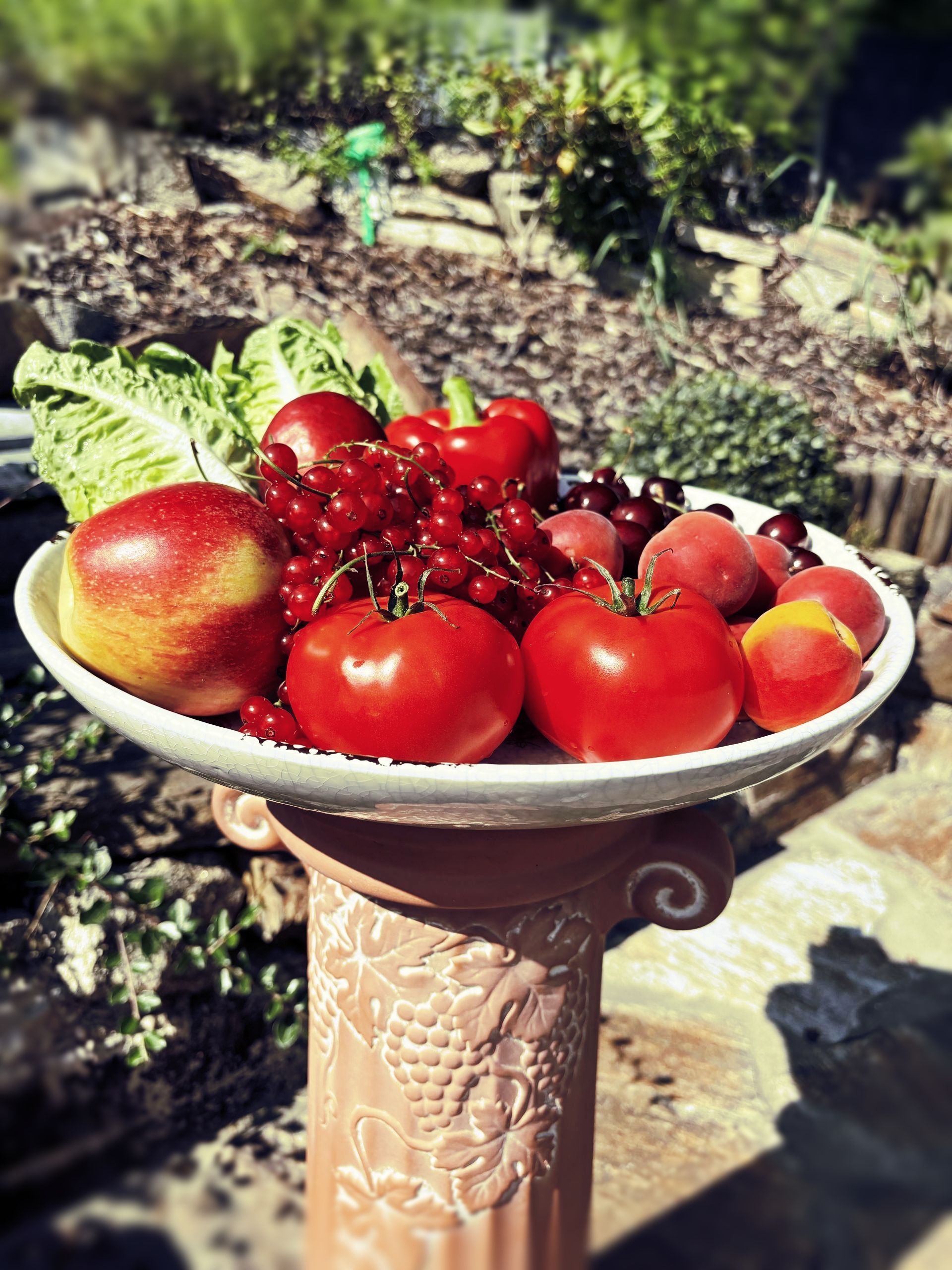 Tipps für ein gesundes Herz im Sommer nach TCM