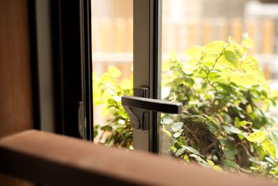 A Close up Of an Open Window with A Plant in The Background | Westminster, CO | M.L. Locksmith