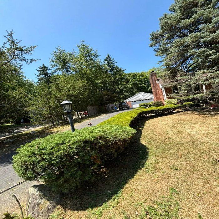 A lamp post in the middle of a lush green yard