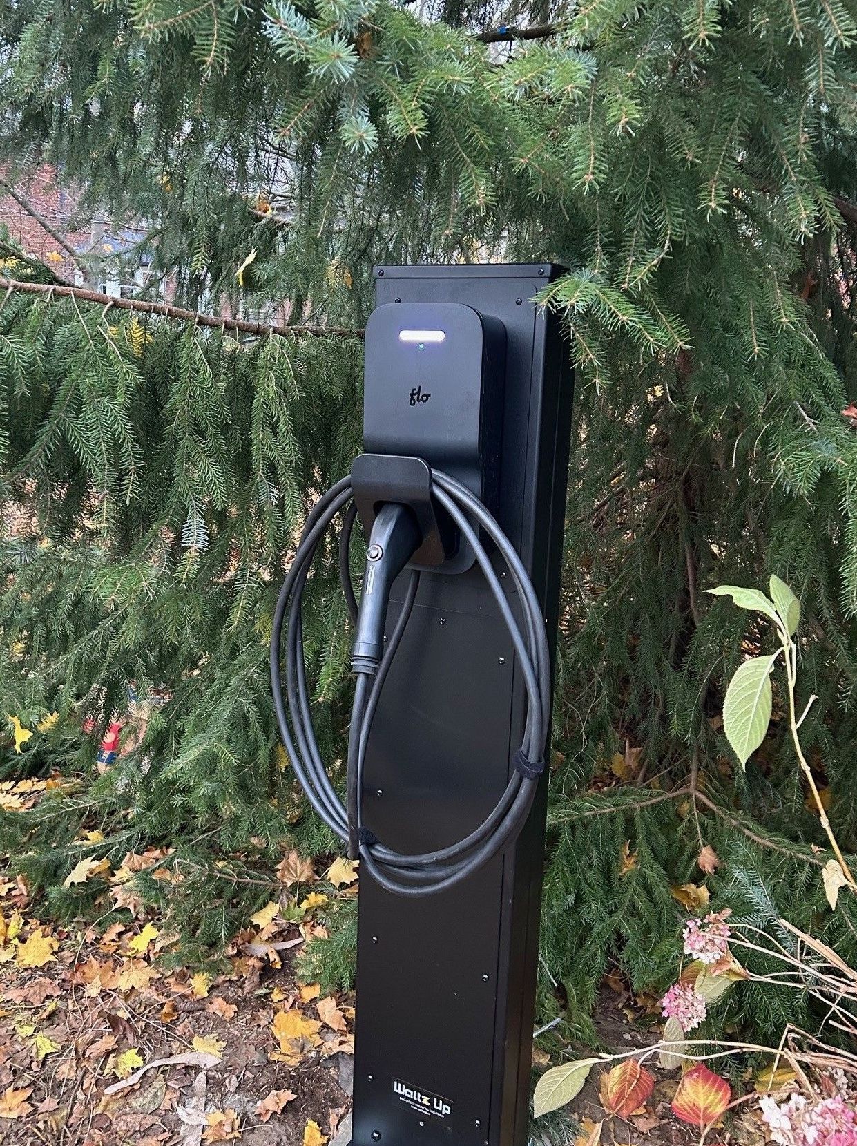 Picture of the Standard Wattz Up pedestal.