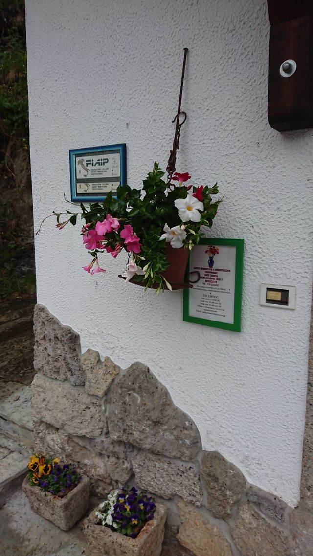 fiori di una casa in vendita dall'agenzia immobiliare in Carnia