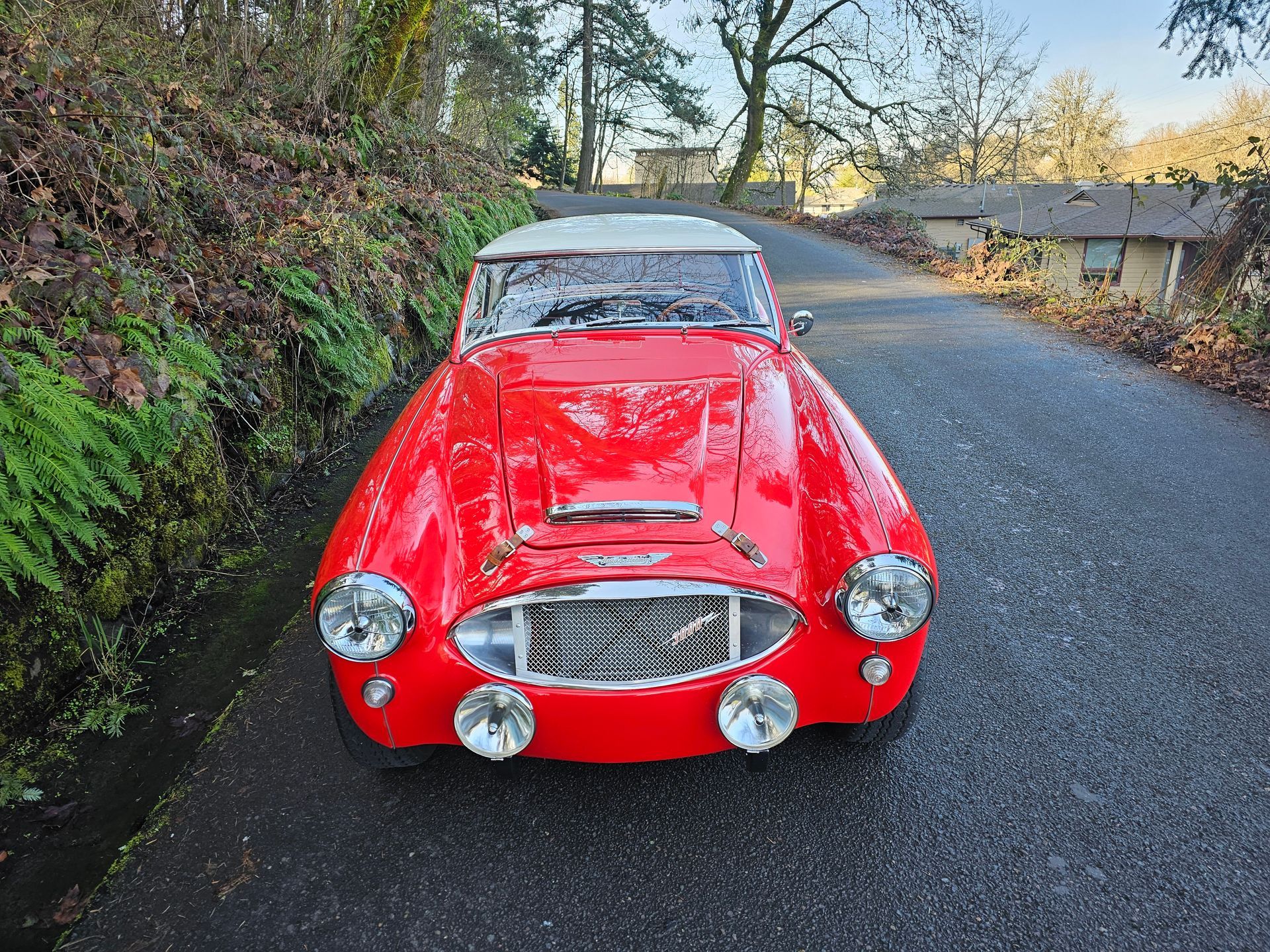 Red Austin-Healey sports car | Sports Car Shop