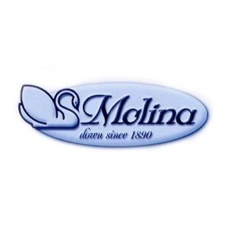 Molina logo