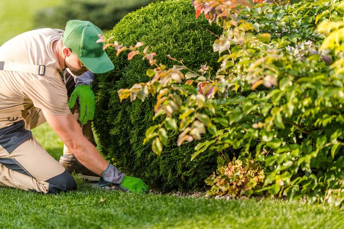 beautiful landscaping with beautiful plants