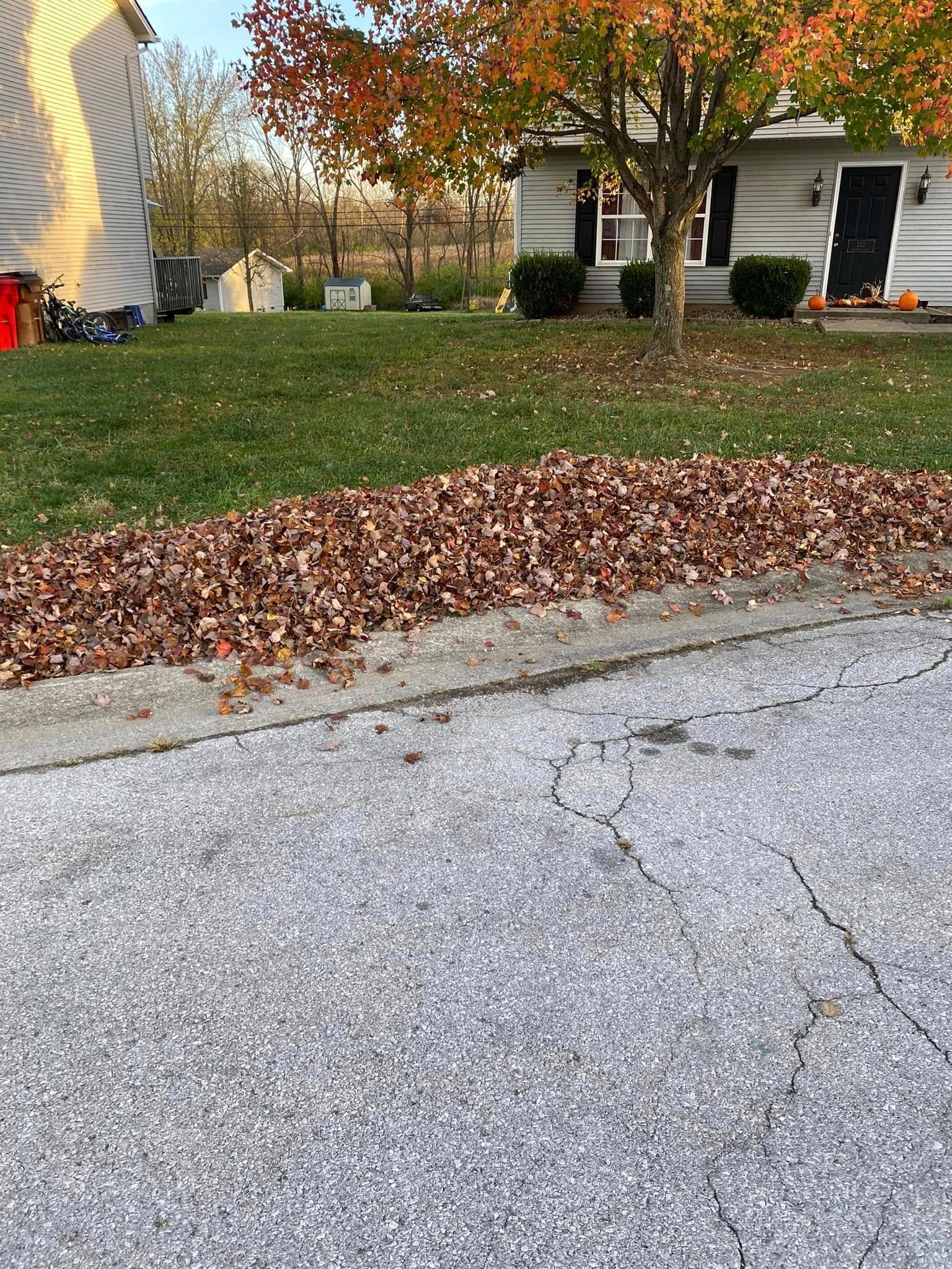 A pile of leaves on the side of a road in front of a house.