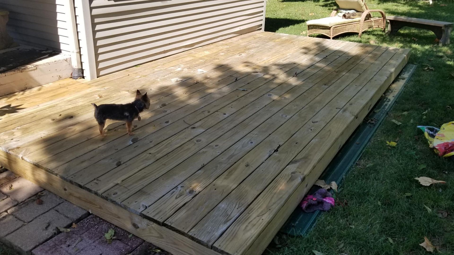 A small dog is standing on a wooden deck.