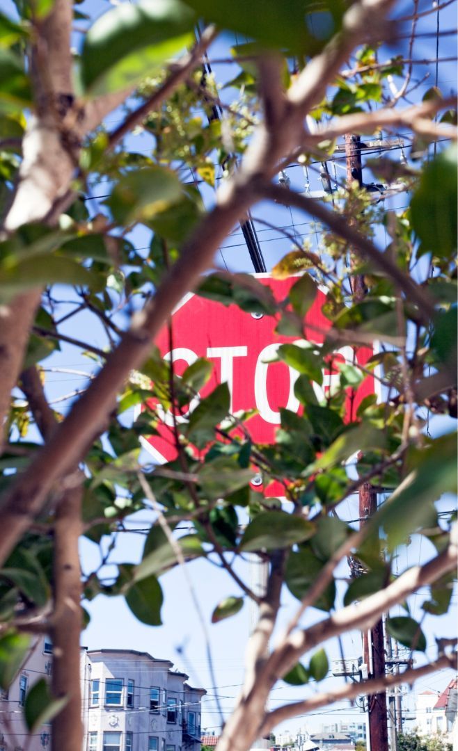 A man dressed in a blue top, and orange and black trousers cutting down a tree from the top.