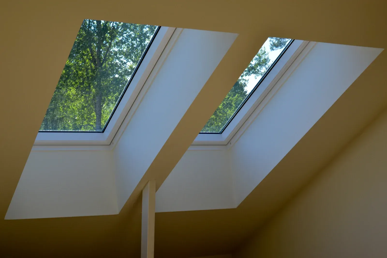Two skylights in a room with trees in the background