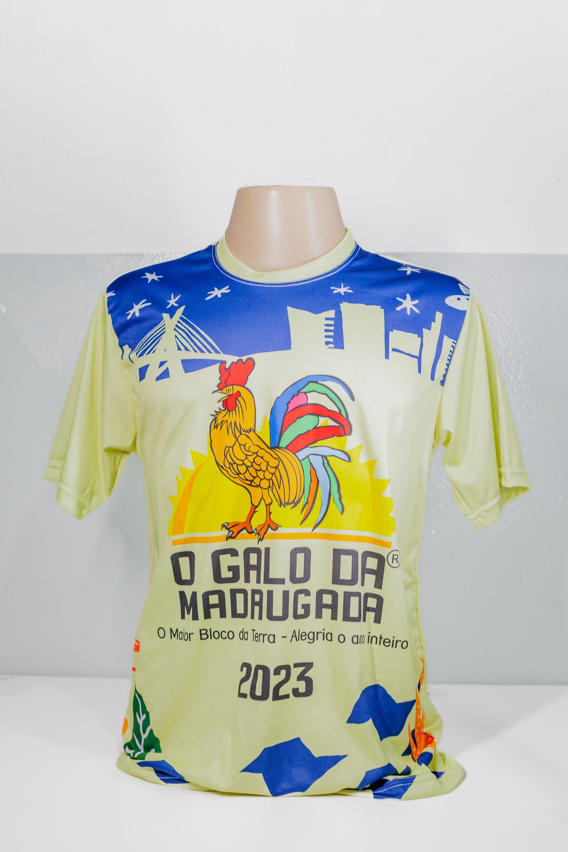 Processo de Estamparia - Camisetas em 1 Hora