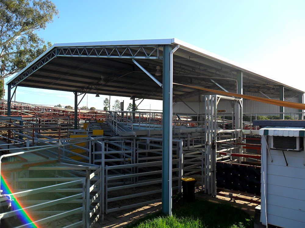 Cattle Yard With Metal Gates and Roofing, Under a Shed — Northern Rivers Sheds in South Lismore, NSW