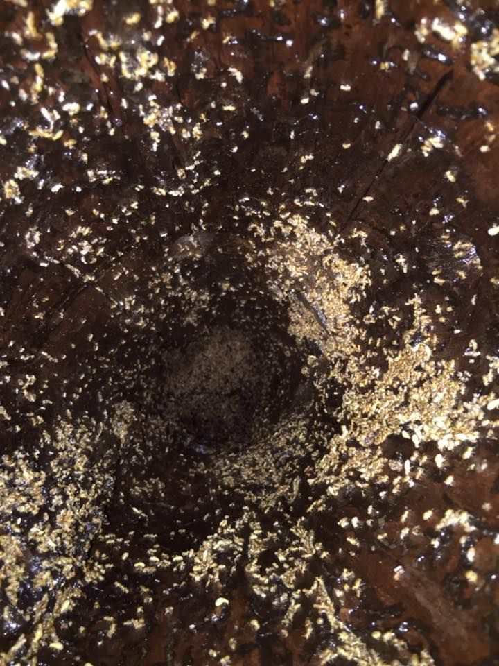 Looking Down a Dark Hole With Termites Around the Edges — All Pest QLD In Maroochydore, QLD