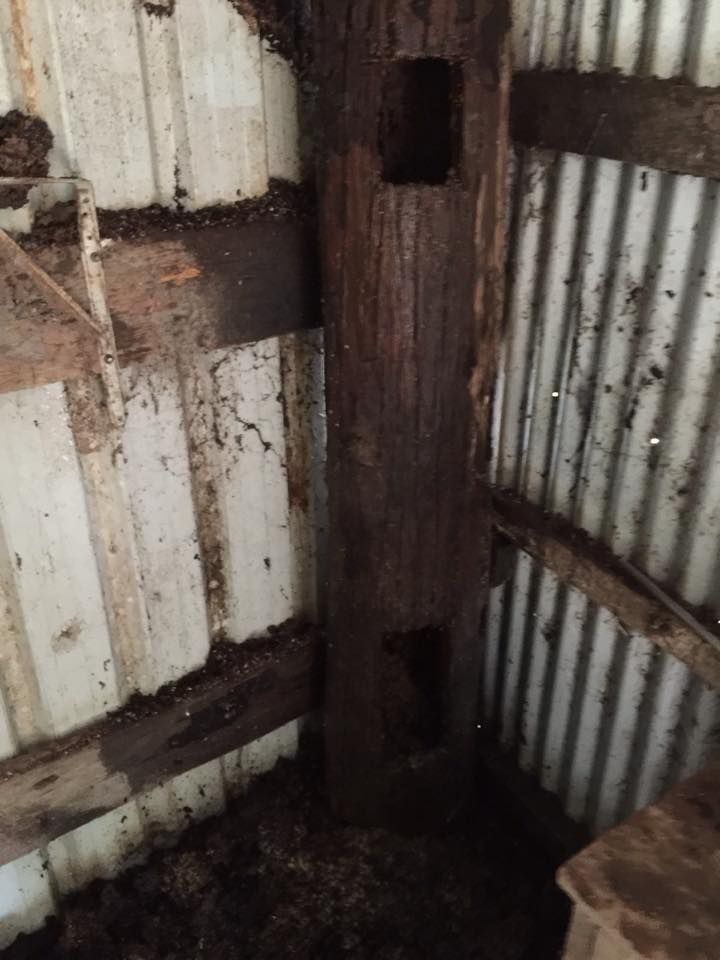 Dark Wooden Post With Square Openings Inside a Corrugated Metal Building — All Pest QLD In Buderim, QLD