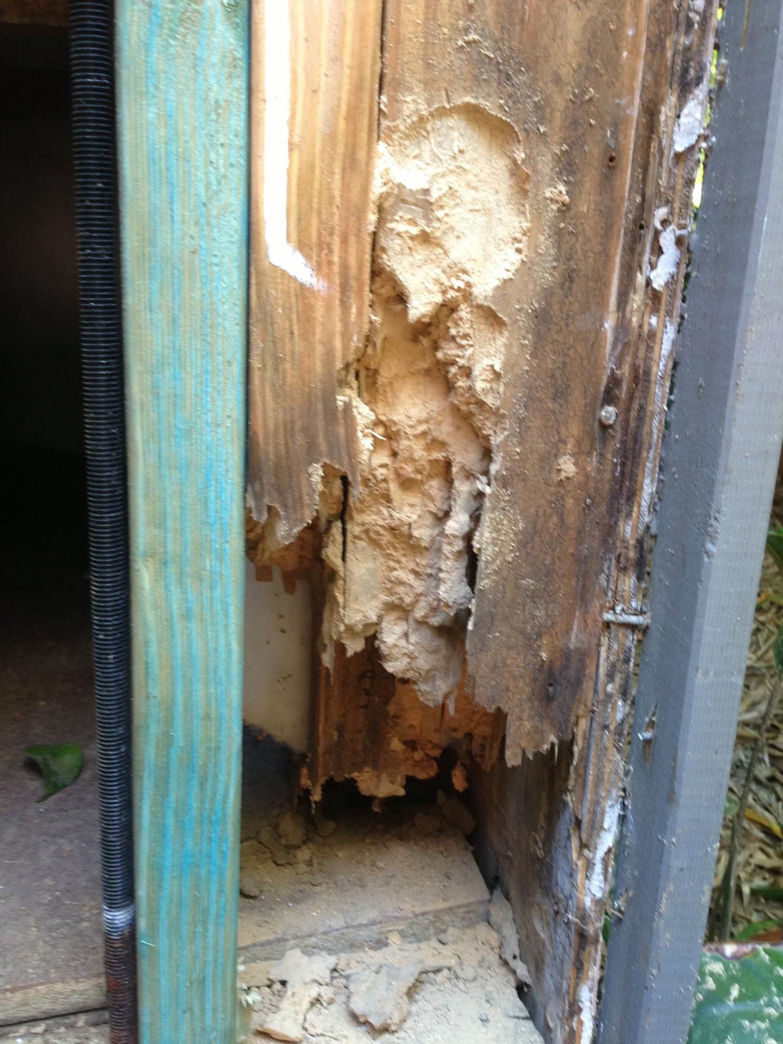 Wood Frame Damaged Possibly by Termites — All Pest QLD In Nambour, QLD