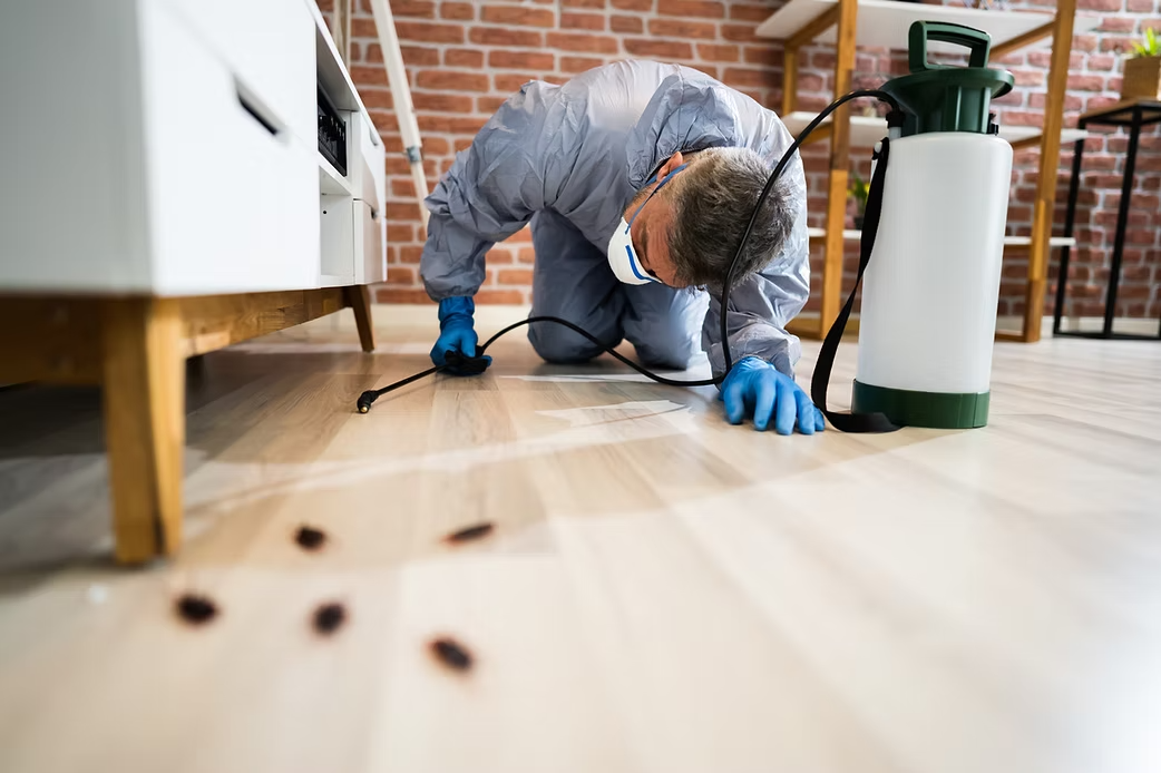 Pest Control Worker Kneeling Spraying Floor Visible Roaches and Sprayer Present in a Home — All Pest QLD In Maroochydore, QLD