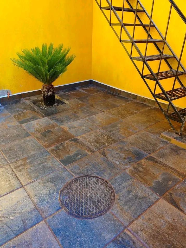 Una palmera en maceta reposa en un patio con baldosas de pizarra oscura, junto a una escalera de metal y frente a una pared de color amarillo vibrante.