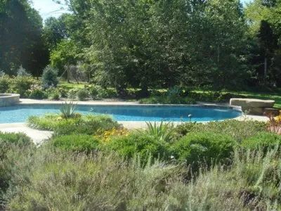 A large swimming pool surrounded by bushes and trees