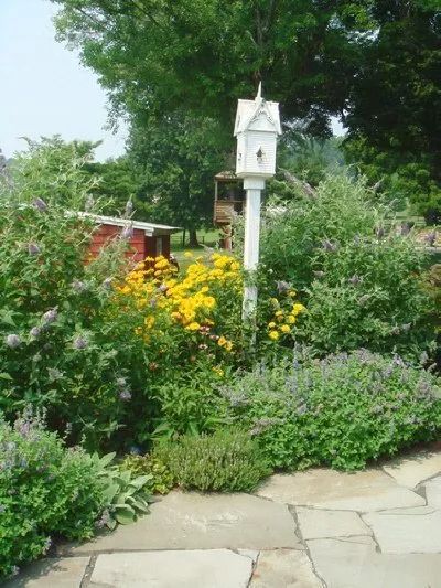 A birdhouse is sitting in the middle of a garden surrounded by flowers.