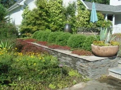 A lush green garden with a house in the background