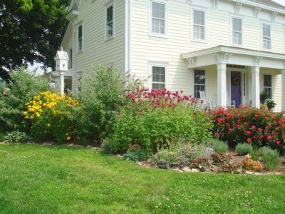 A white house with a purple door is surrounded by flowers and bushes.