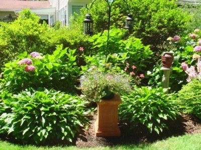 A garden filled with lots of plants and flowers
