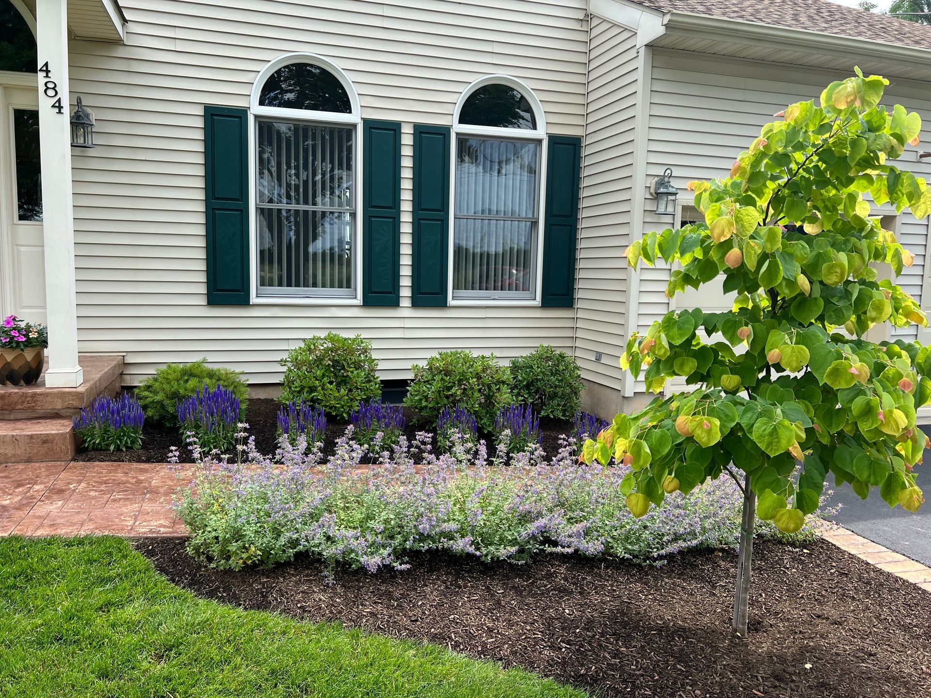 A white house with green shutters and a tree in front of it.