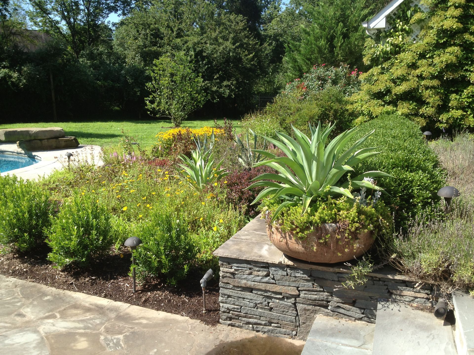 A garden with a stone wall and lots of plants and flowers.