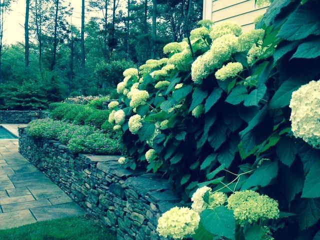 A house with a lush green lawn and a rock garden in front of it.