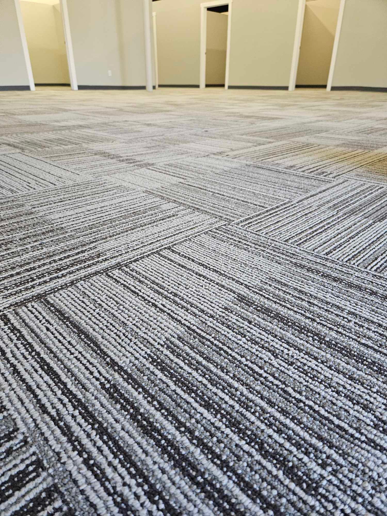 A close up of a carpeted floor in an empty room.